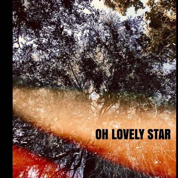 Art Print Lovely Star * Original Photography - Picture 4 of 6